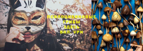 ГАЛЛЮЦИНОГЕННЫЕ ГРИБЫ Архангельск